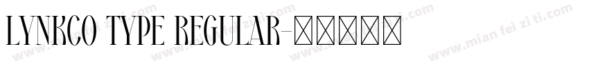 Lynkco Type Regular字体转换